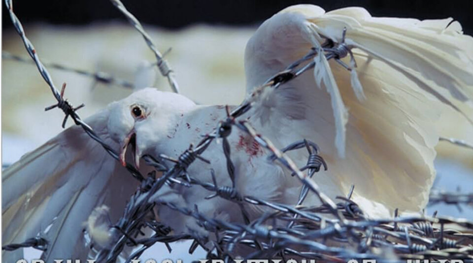 IMG_6276.jpeg - TylkoNachwile17