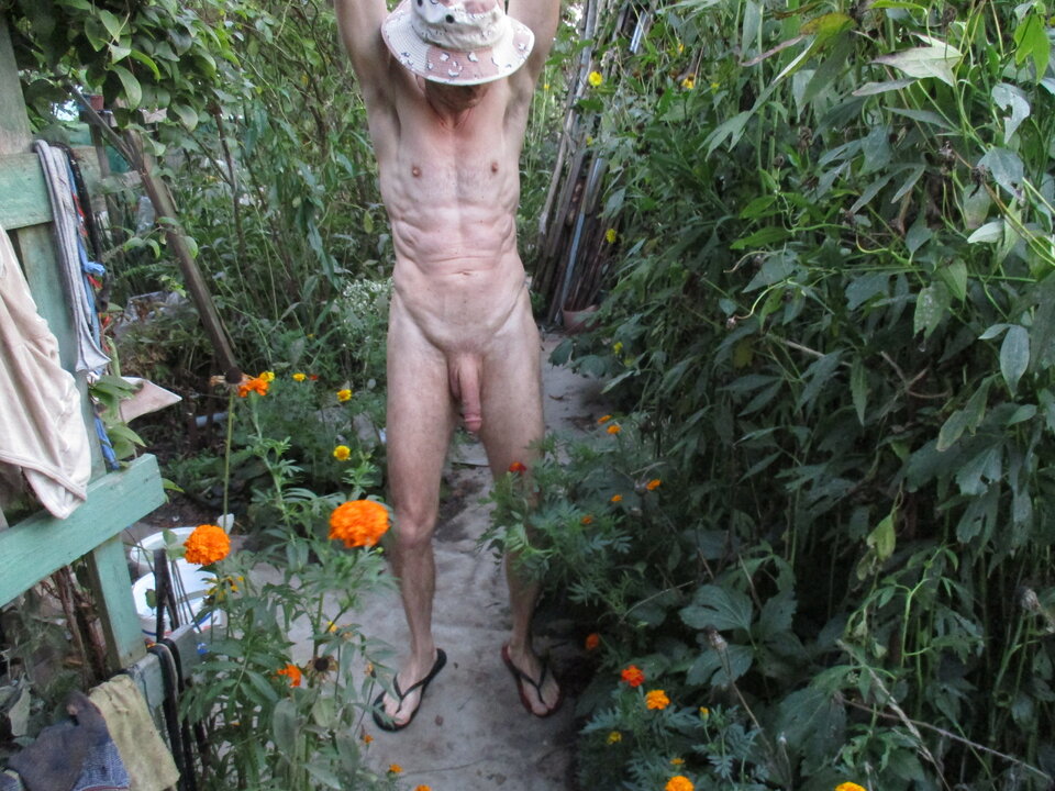 IMG_8661.JPG - gawel35