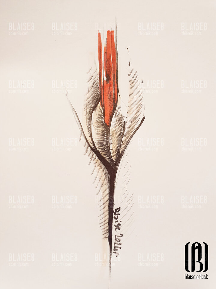 Art. No. 303 - blaise8