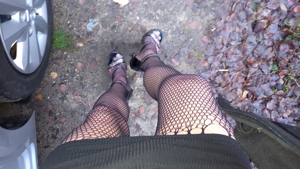 20241208_084408.jpg - paulstarkface