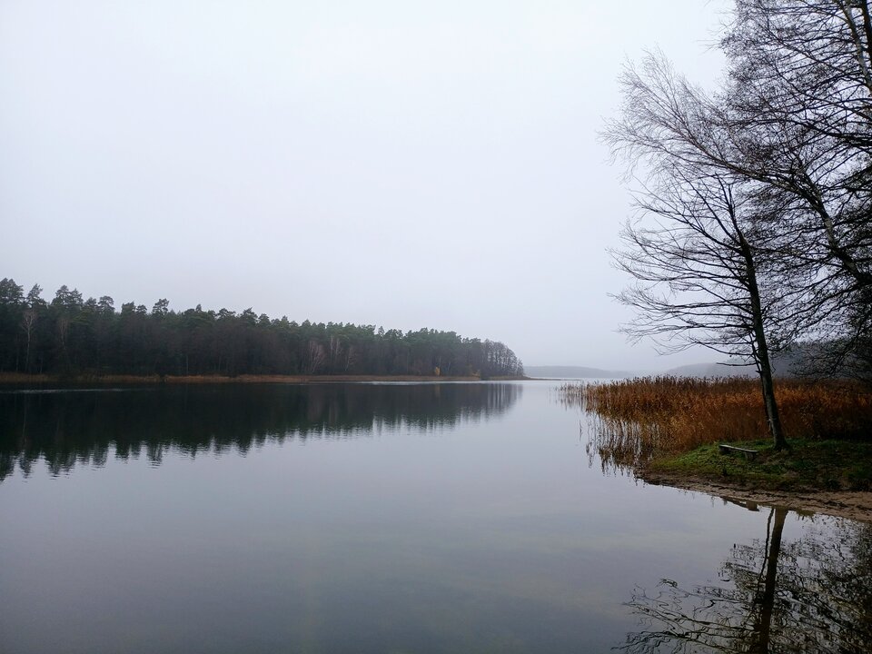 20251109_090614.jpg - Arteusz77