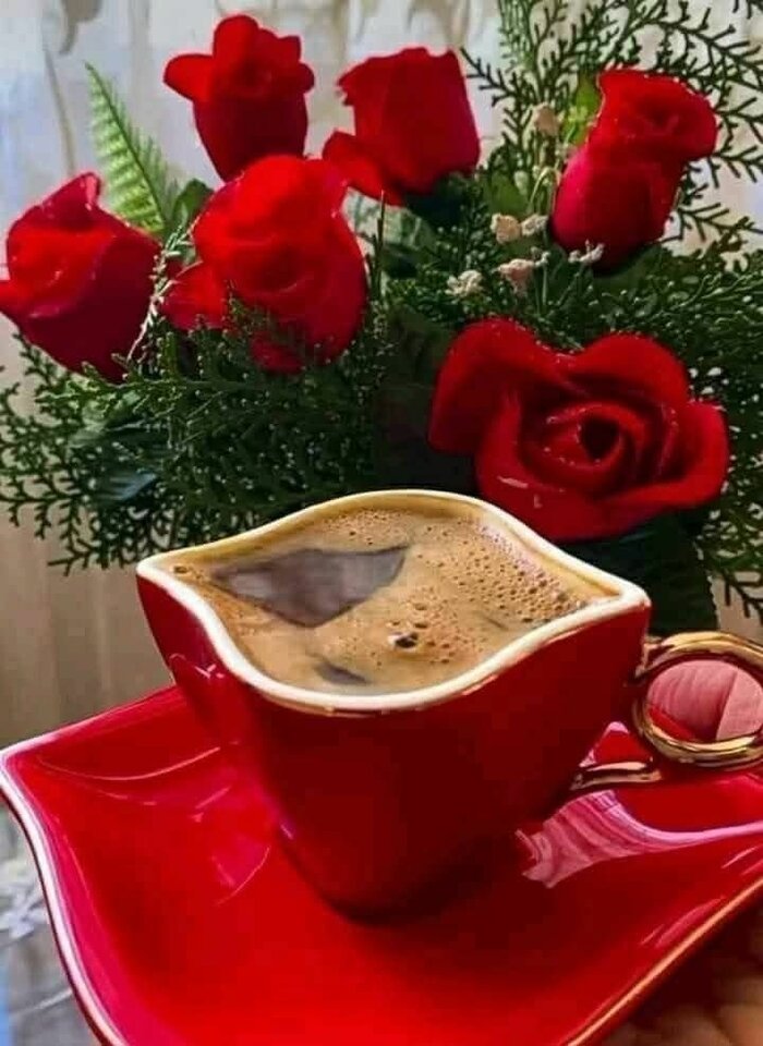 bde04a6a211895e9ab17893268b11838 (1).jpg - Mileneusz