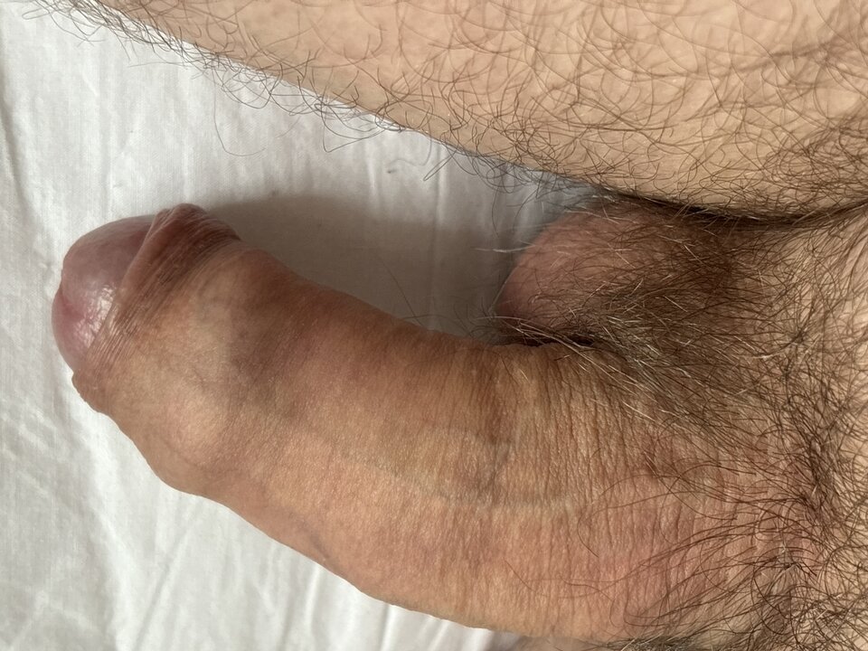 image.jpg - Tulipan1983