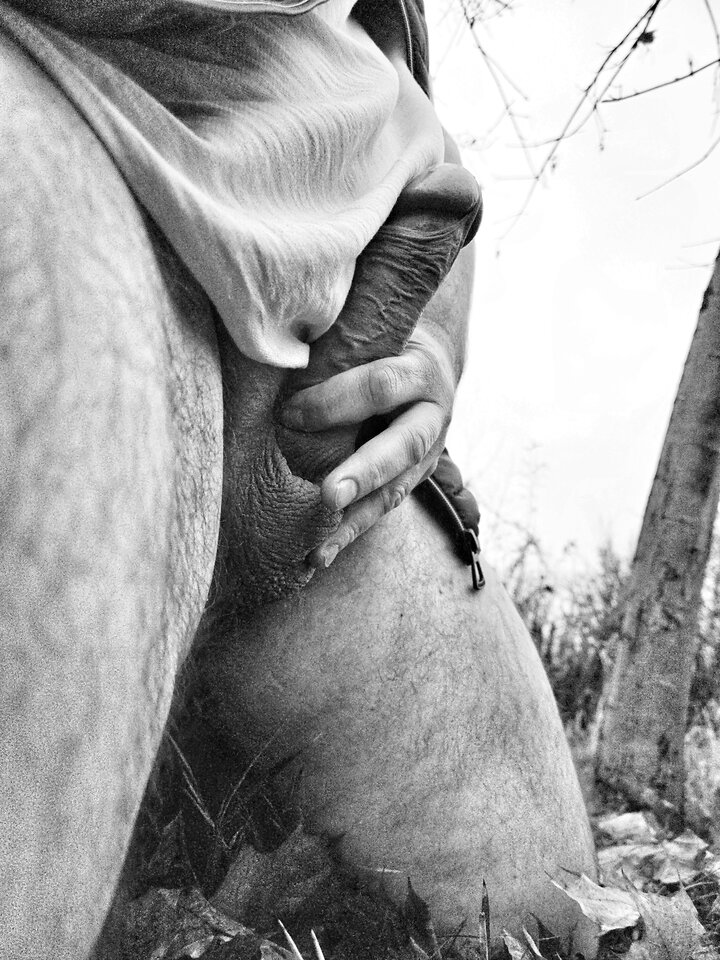 1000022973.jpg - YourSong