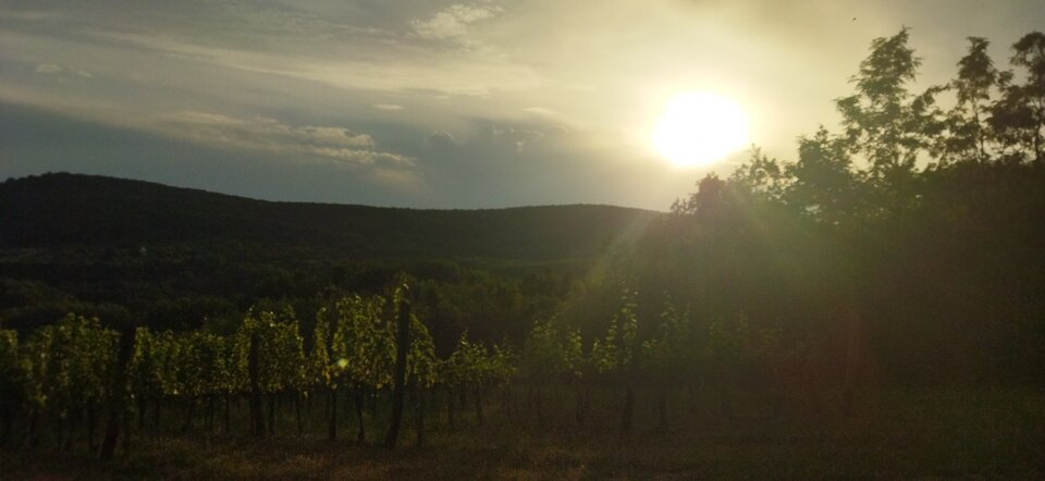 IMG_20240711_191943.jpg - DataTraveler