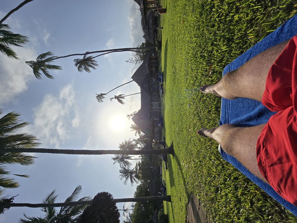 1000029097.jpg - medartski