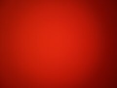 IMG_0243.jpeg