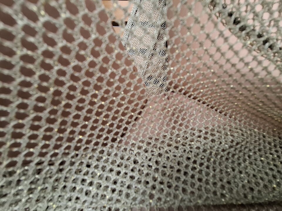 20250810_115524.jpg - Labellaelabestia