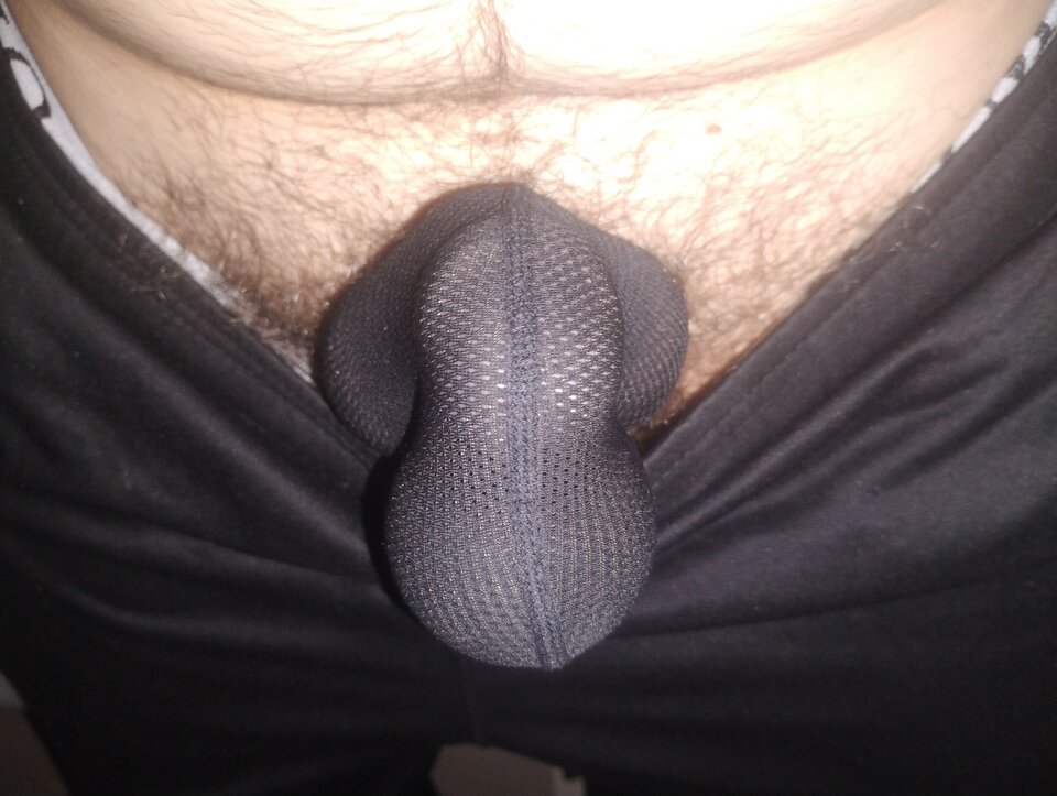 1000480407.jpg - Maxi1001