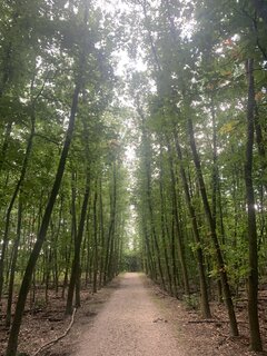 IMG_5150.jpeg