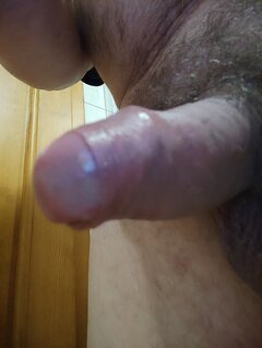 IMG_20251114_212439.jpg