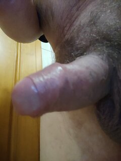 IMG_20251114_212434.jpg