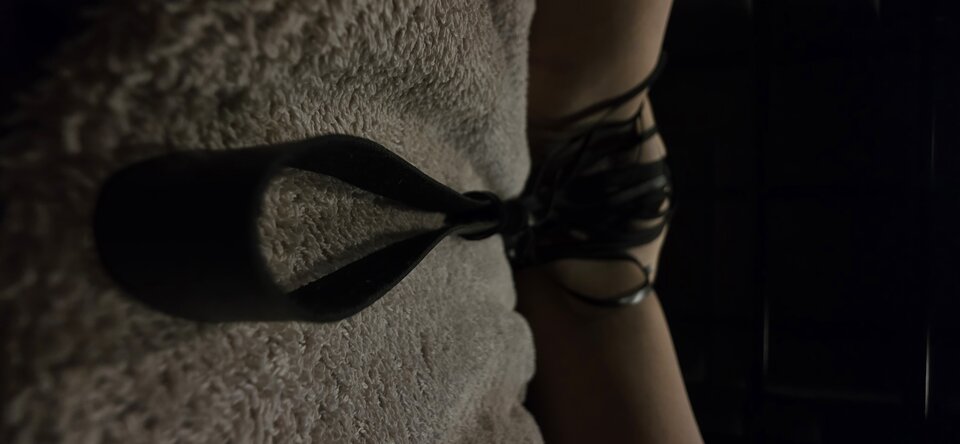 16861.jpg - Tom_Jerry83