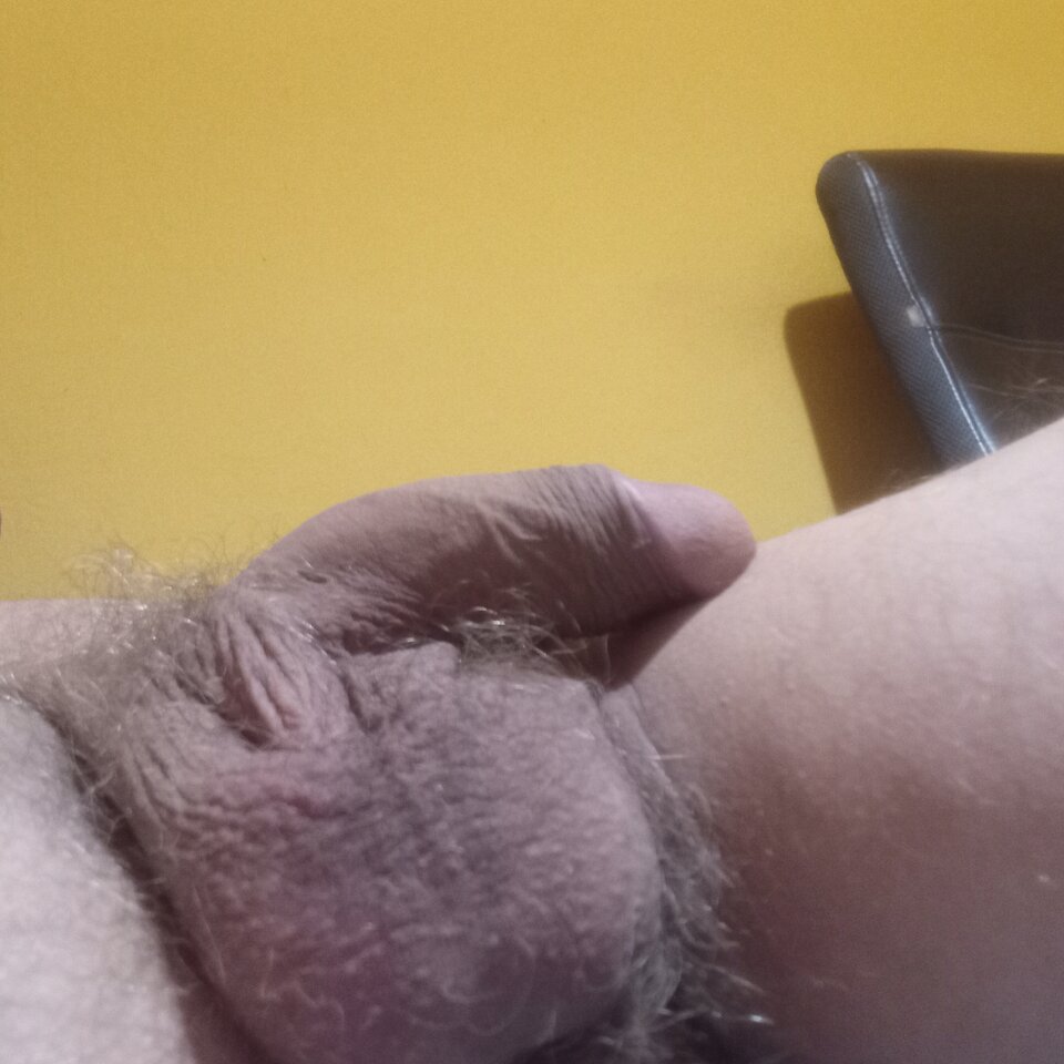 1000008395.jpg - brus13