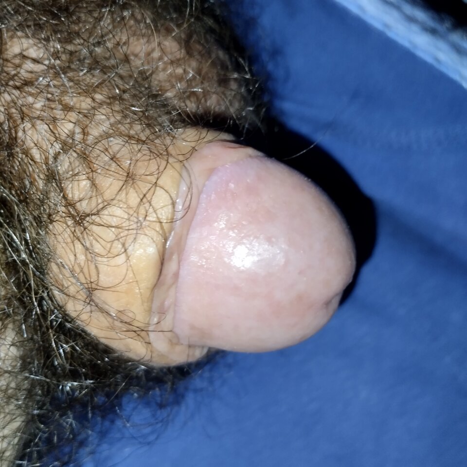 IMG_20251115_073148.jpg - smakwaginy