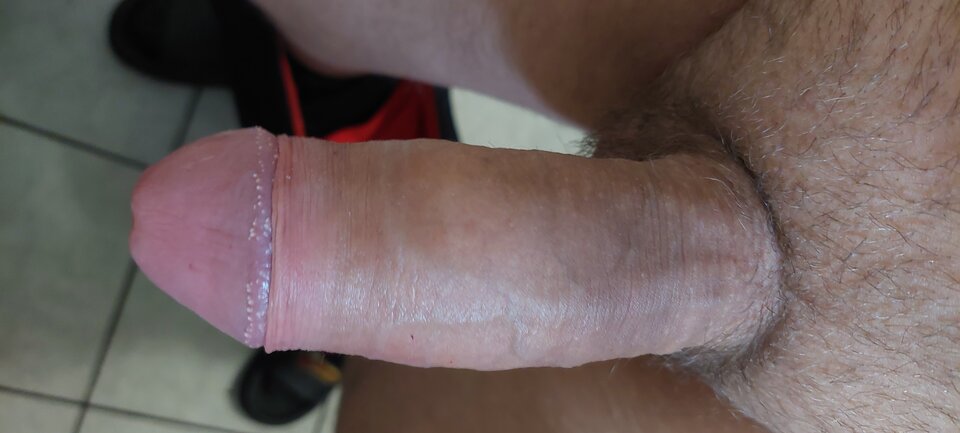 1000066411.jpg - Patrros