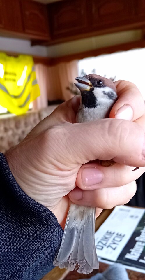 1000020884.jpg - Misiek7828