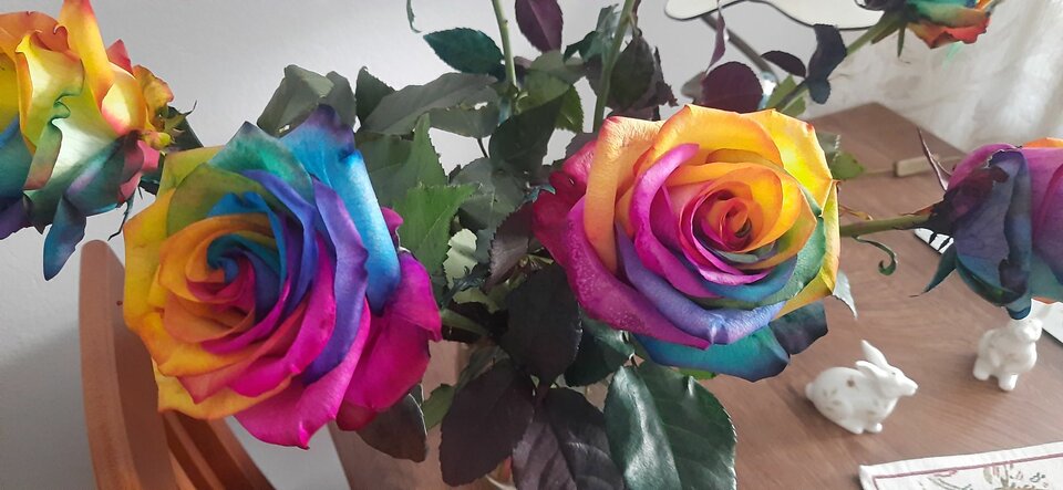 Resized_20240407_125345.jpeg - SwingersBeautyWawa