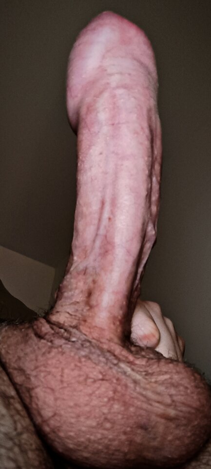 1000005262.jpg - Drake8