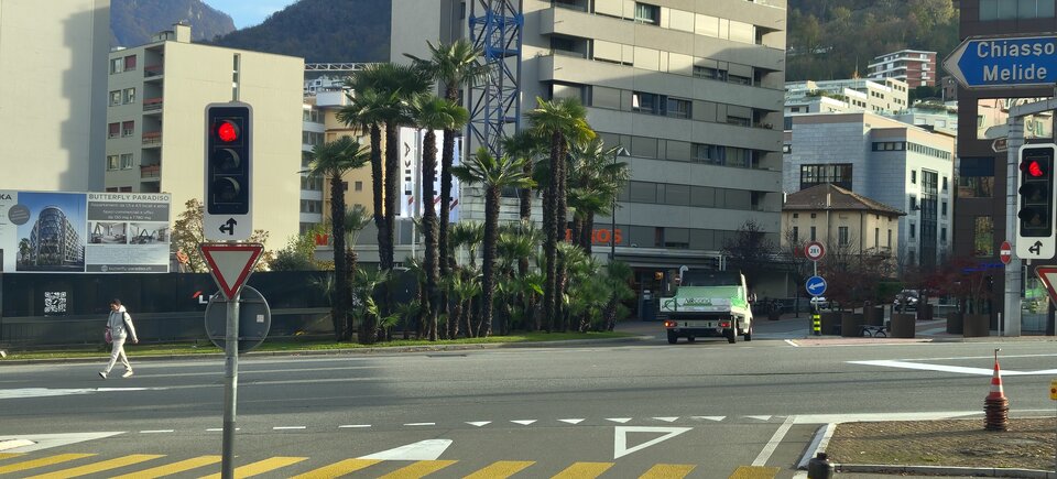 1000055022.jpg - jacekkiel