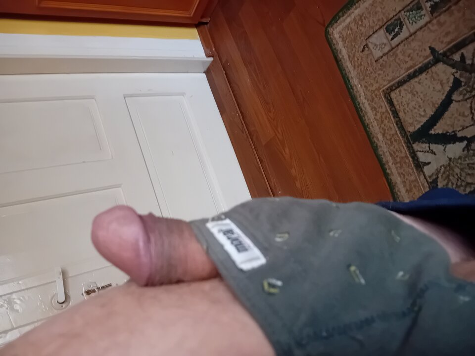 1000009565.jpg - brus13