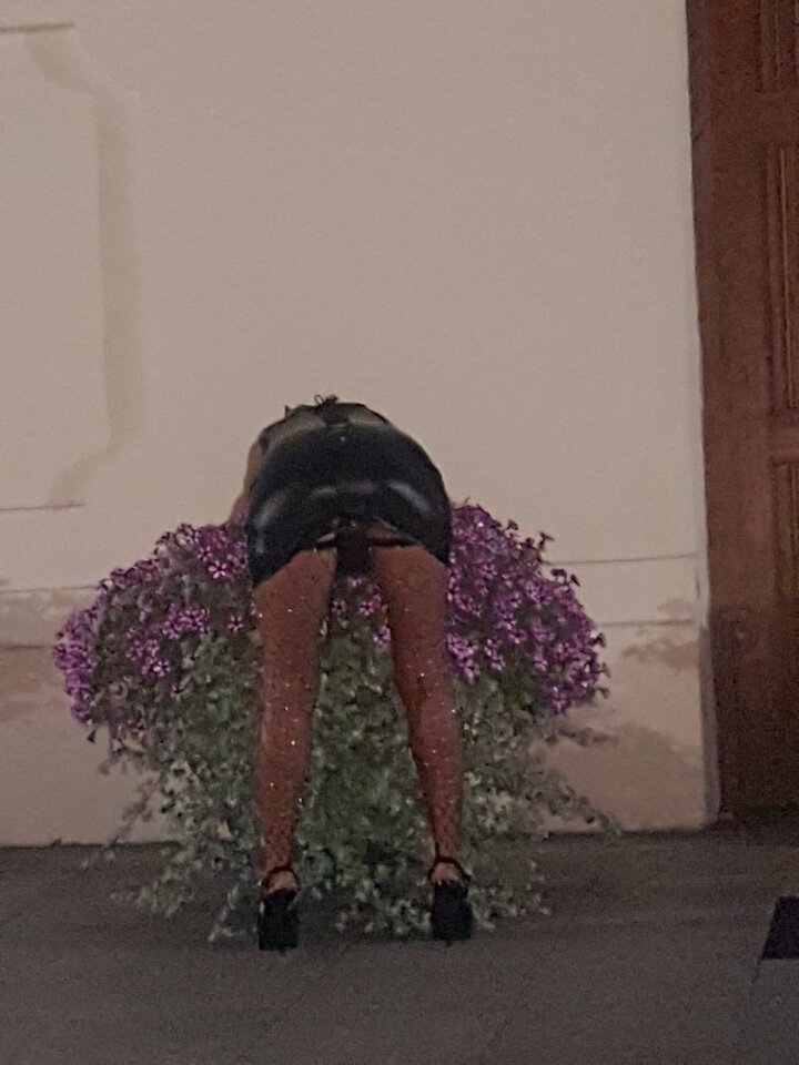 sucz.jpg - SukazPanem48