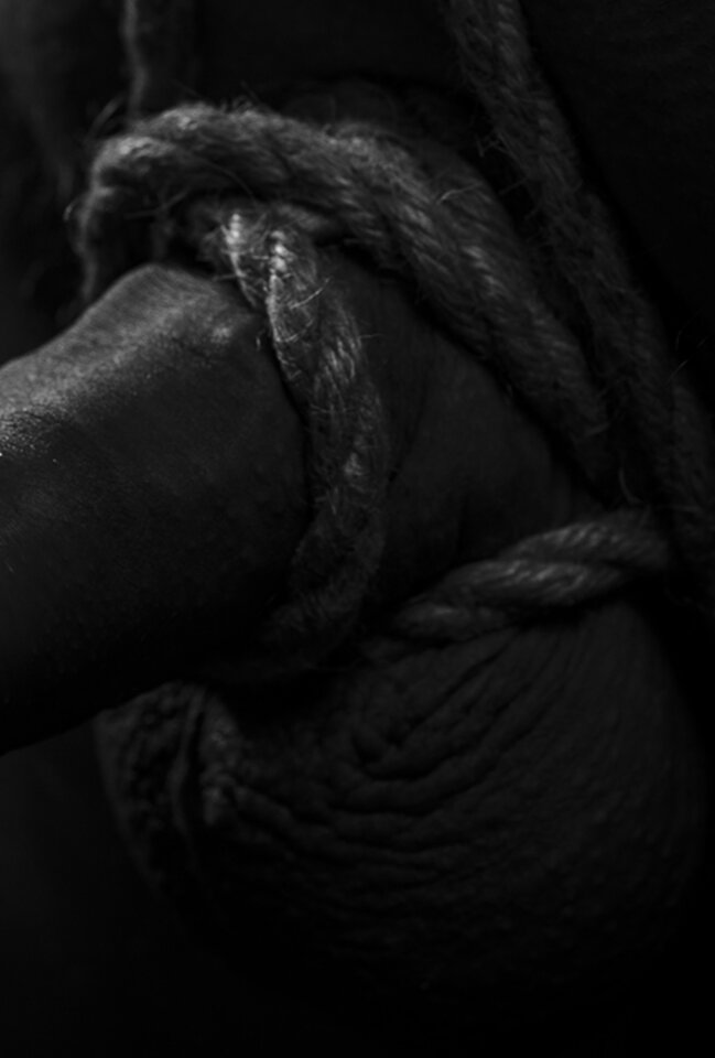 IMG_5728.jpeg - cubello