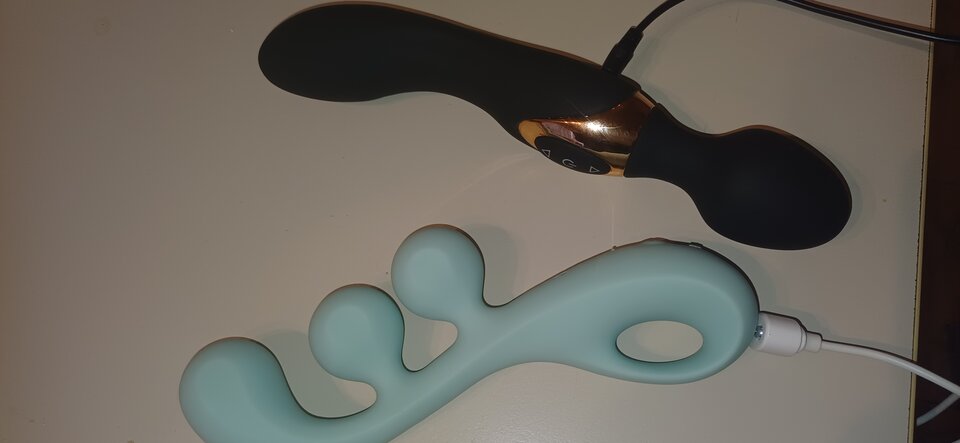 2809b7af-d427-48f1-a917-926b3eca356a-1_all_667.jpg - bor1234