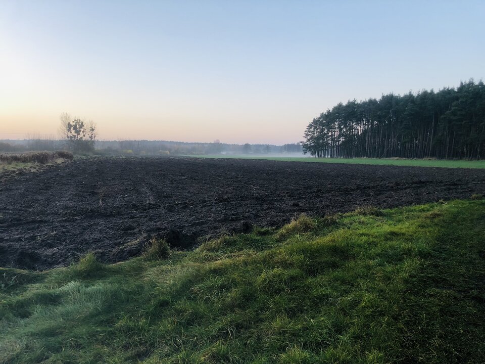 IMG_7150.jpeg - superpara_xyz