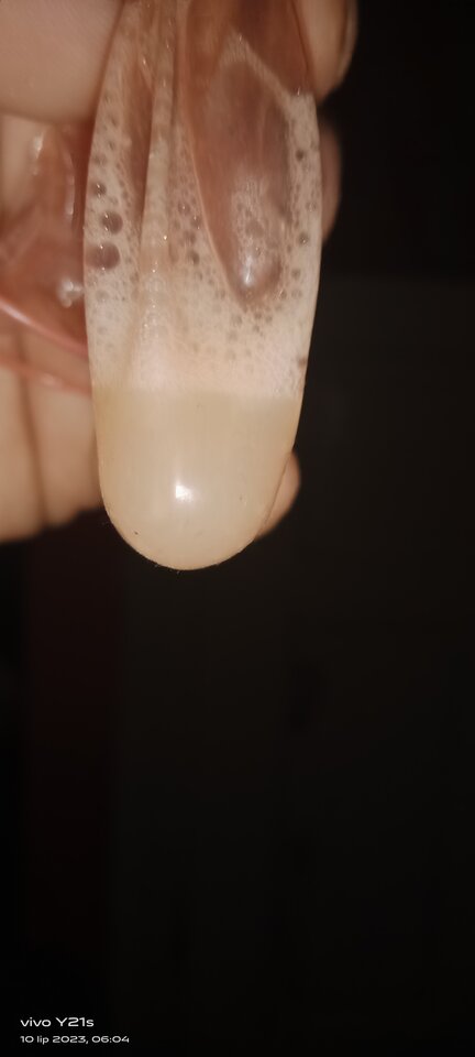 IMG_20230710_060359.jpg - Krzysztof39m