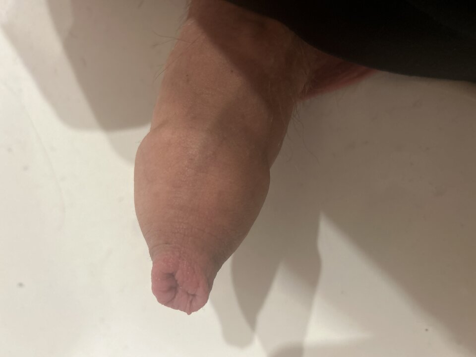 image.jpg - ubityadi