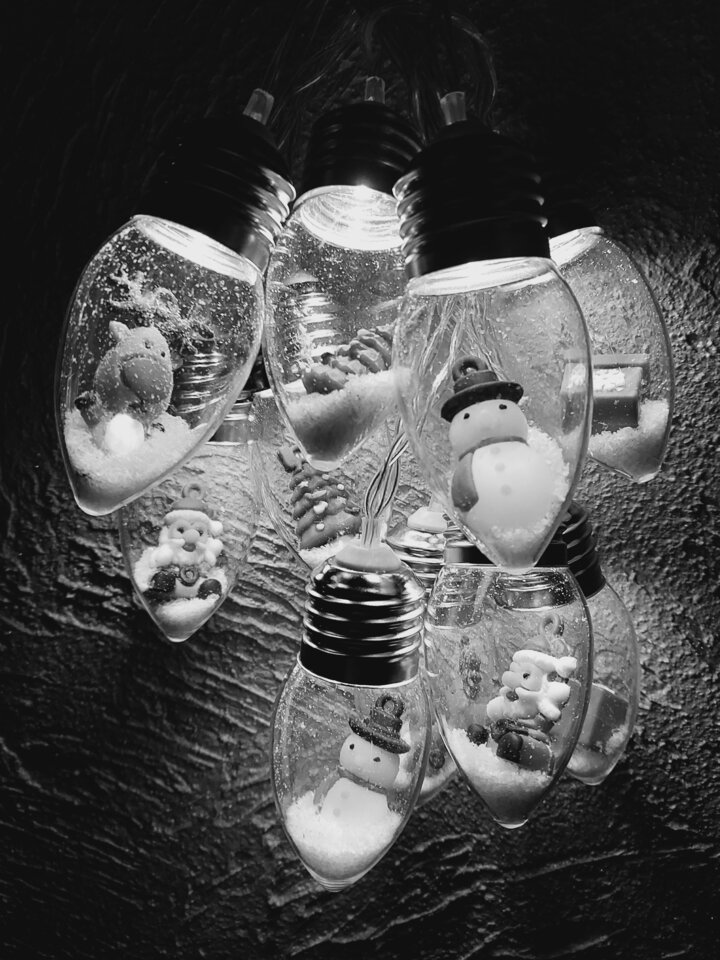 20251118_083811.jpg - dino8