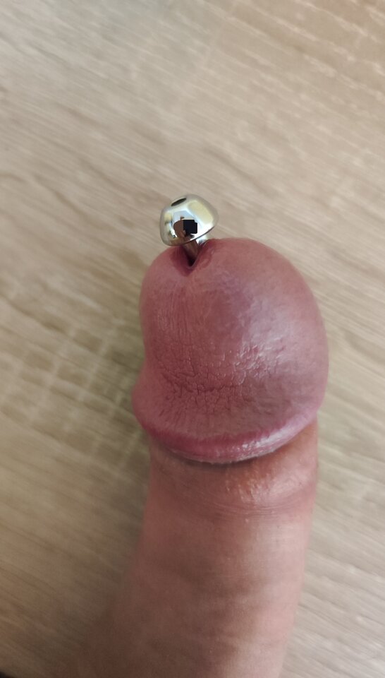 1000009447.jpg - Dominox1