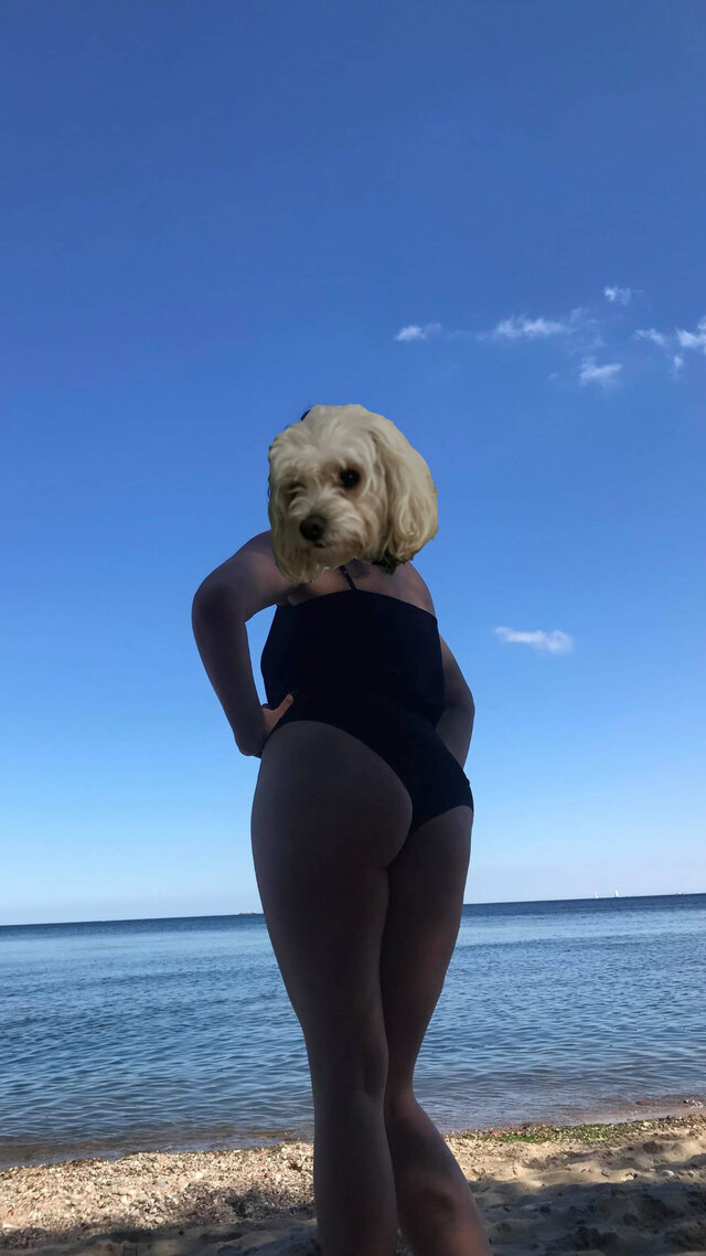 sexikasia2001