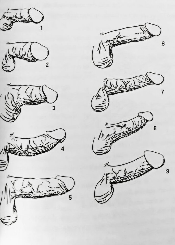 c632102da.jpg - 60jarek