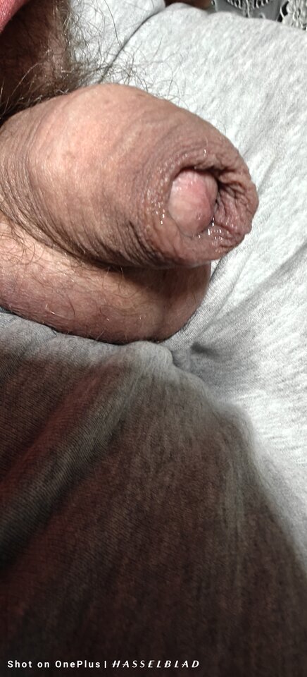 1000019293.jpg - jogan