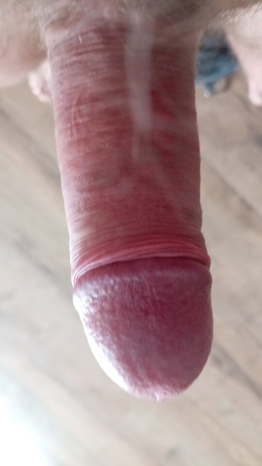 1000003165.jpg - Marek51b