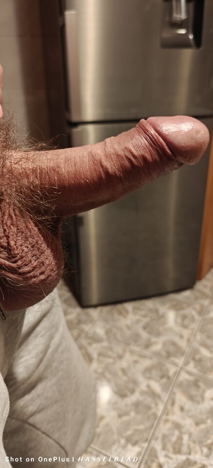 1000019211.jpg - jogan