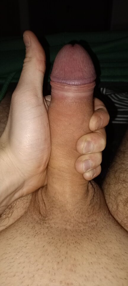 1000005298.jpg - panwedel1