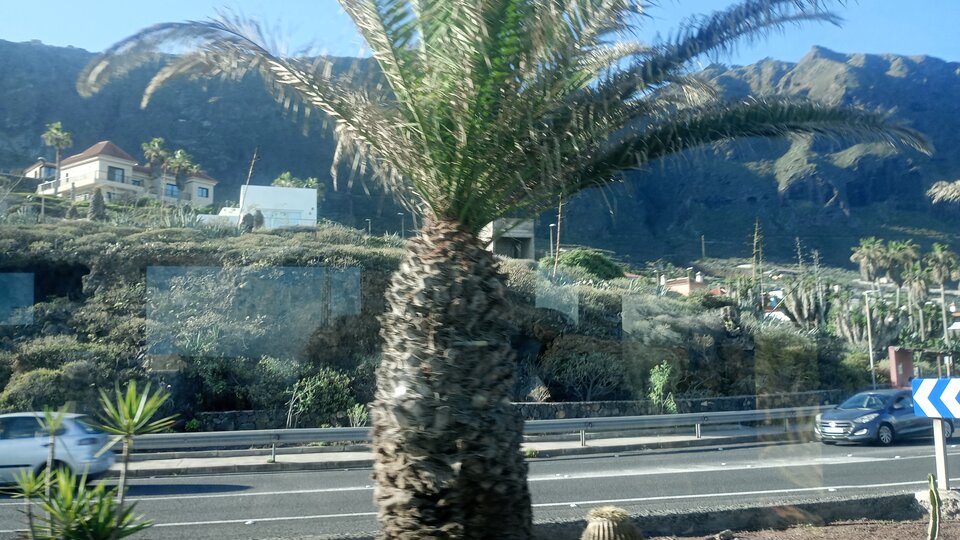 1000010930.jpg - AprilWitchess82