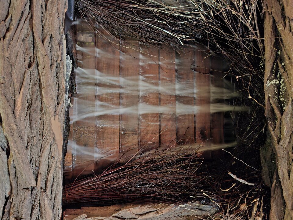 1000001762.jpg - Grom25