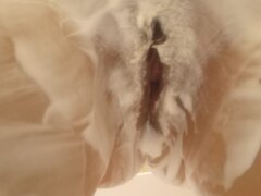 b56e83fd-9d65-49b8-900a-3e3400901904.jpeg