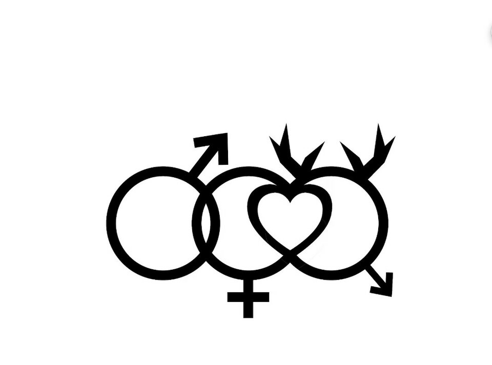 Zrzut ekranu 2025-11-20 212119.jpg - Bull40Poznan