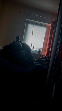 IMG_1081.jpeg