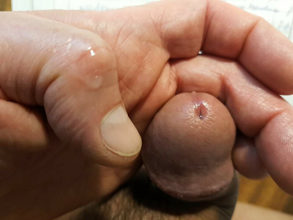 20220805_214945_capture.jpg - Whitelittlecock