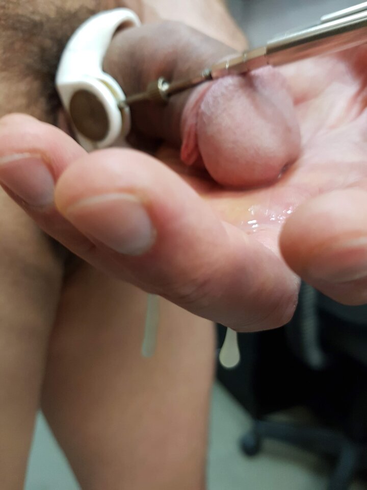 20180728_003644.jpg - Whitelittlecock