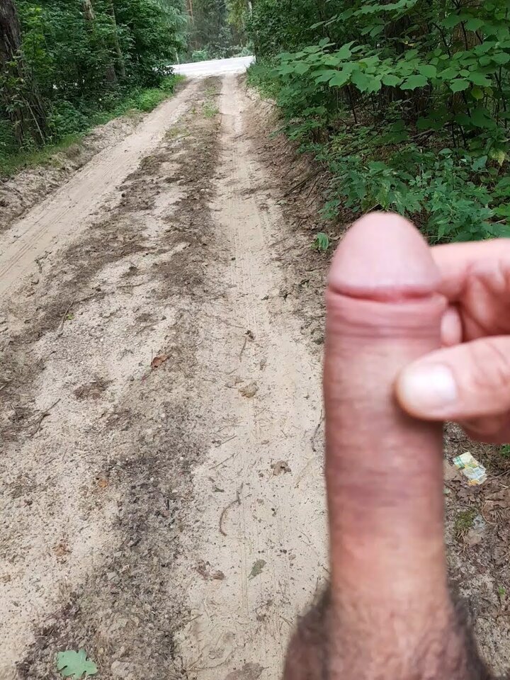 20180729_055407_capture.jpg - Whitelittlecock