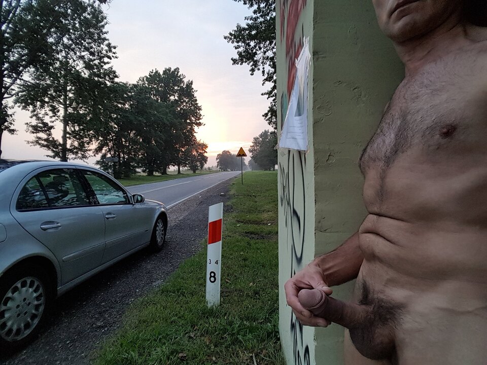 20180729_050805.jpg - Whitelittlecock