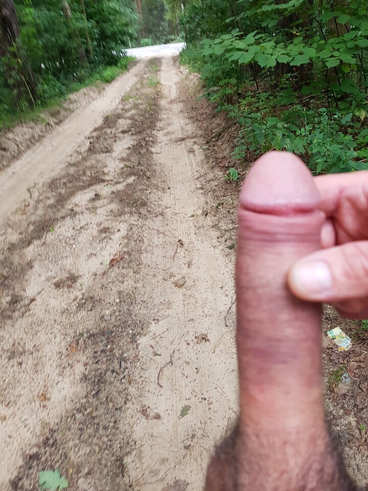 20180729_055407.jpg - Whitelittlecock