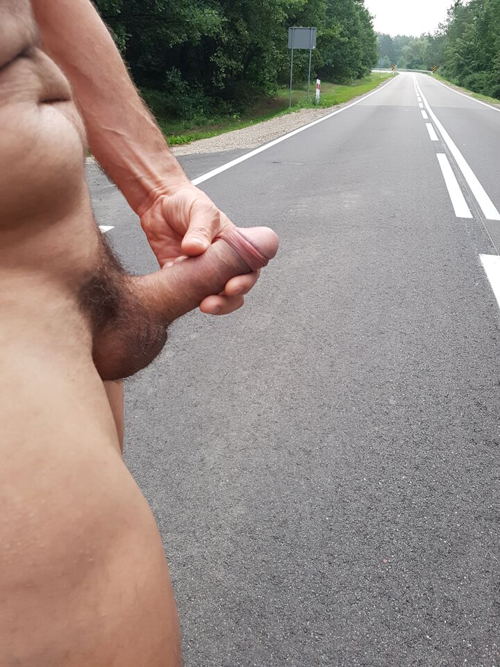 20180729_055530.jpg - Whitelittlecock